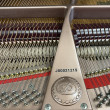 2005 JP Pramberger Platinum Edition grand piano - Grand Pianos